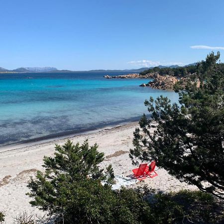 Appartamento Porto Rotondo Rudargia 외부 사진